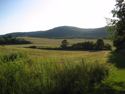 Hillsdale Park photo 2